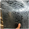 Ice Flower Decorative Frosted Glass Float Glass con recubrimiento de titanio y patrón