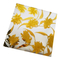 Ice Flower Decorative Frosted Glass Float Glass con recubrimiento de titanio y patrón